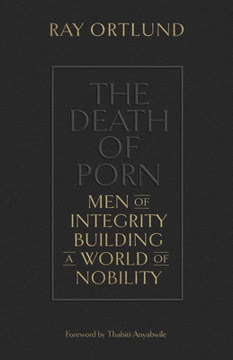 The Death of Porn Summary