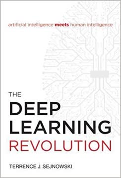 The Deep Learning Revolution Summary