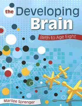 The Developing Brain Summary