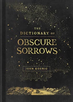 The Dictionary of Obscure Sorrows Summary