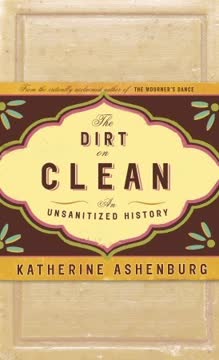 The Dirt on Clean Summary