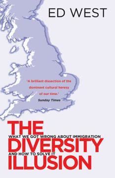 The Diversity Illusion Summary