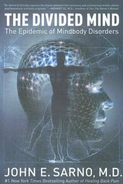 The Divided Mind Summary