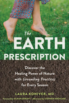 The Earth Prescription Summary