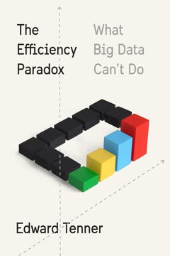 The Efficiency Paradox Summary