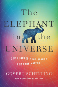 The Elephant in the Universe Summary