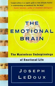 The Emotional Brain Summary