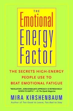 The Emotional Energy Factor Summary