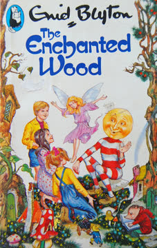 The Enchanted Wood Summary