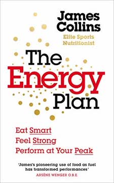 The Energy Plan Summary