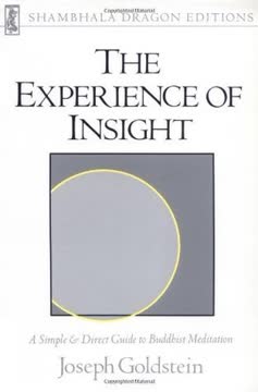 The Experience of Insight Summary