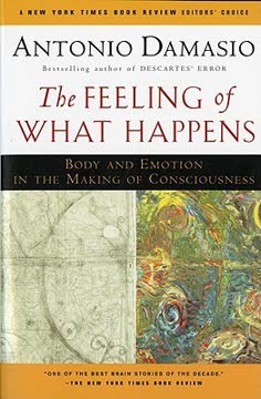 The Feeling of What Happens Summary