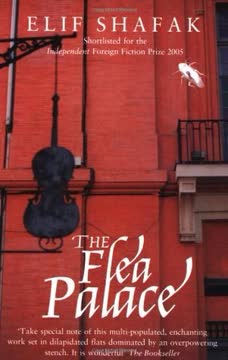 The Flea Palace Summary