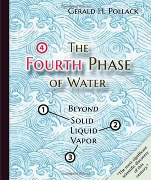The Fourth Phase of Water Summary