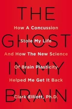 The Ghost in My Brain Summary