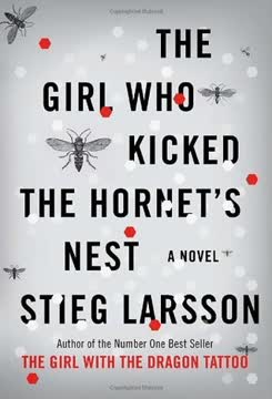 The Girl Who Kicked the Hornet’s Nest Summary