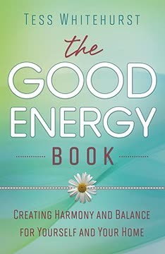 The Good Energy Book Summary