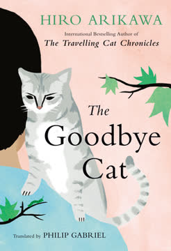 The Goodbye Cat Summary