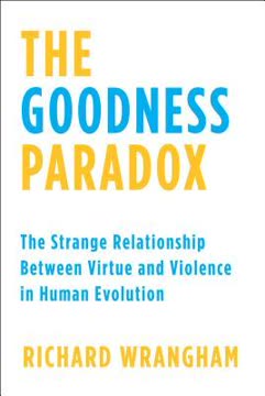 The Goodness Paradox Summary