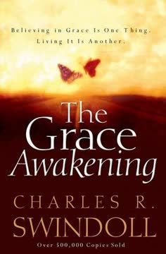 The Grace Awakening Summary