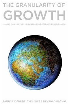 The Granularity of Growth Summary
