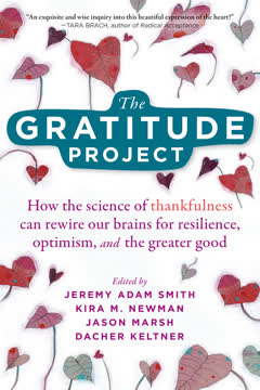 The Gratitude Project Summary