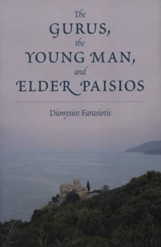 The Gurus, the Young Man, and Elder Paisios Summary