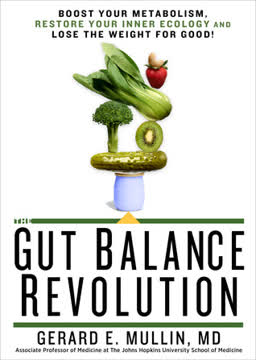 The Gut Balance Revolution Summary