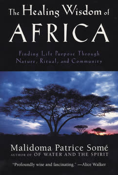 The Healing Wisdom of Africa Summary