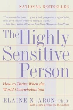 The Highly Sensitive Person Summary