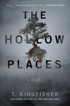 The Hollow Places Summary