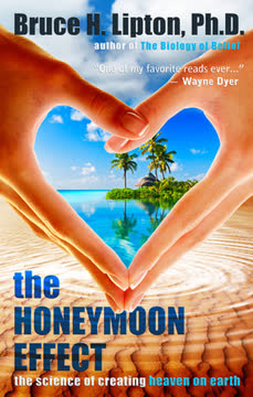 The Honeymoon Effect Summary