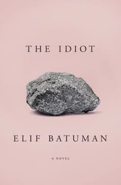 The Idiot Summary
