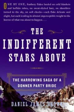The Indifferent Stars Above Summary