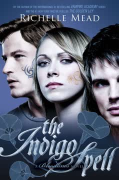 The Indigo Spell Summary