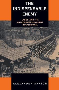 The Indispensable Enemy Summary