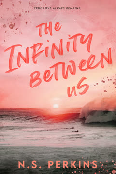 The Infinity Between Us Summary