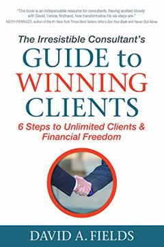 The Irresistible Consultant&#039;s Guide to Winning Clients Summary