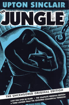 The Jungle Summary