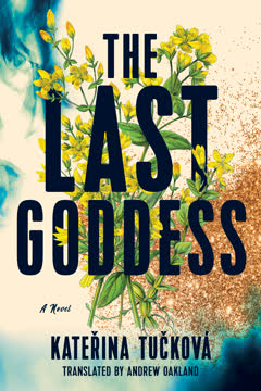 The Last Goddess Summary