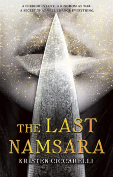 The Last Namsara Summary