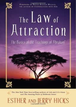 The Law of Attraction Summary