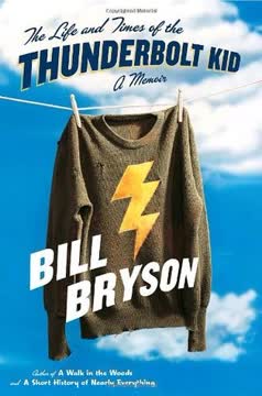 The Life and Times of the Thunderbolt Kid Summary