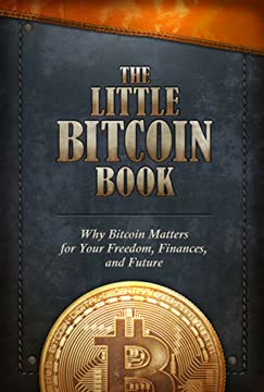 The Little Bitcoin Book Summary