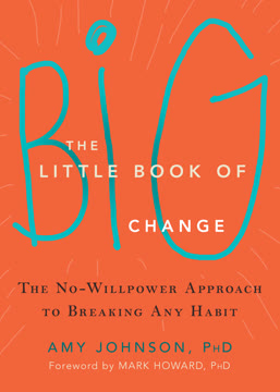 The Little Book of Big Change Summary