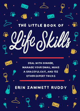 The Little Book of Life Skills Summary
