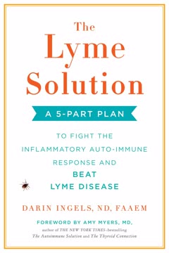 The Lyme Solution Summary