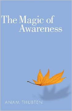 The Magic of Awareness Summary