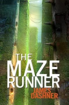 The Maze Runner Summary