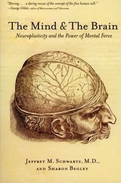 The Mind &amp; the Brain Summary